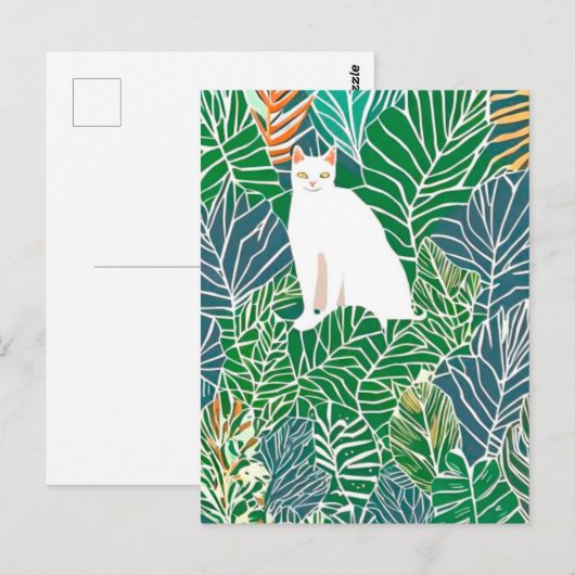 carte postale kitten (Devant / Derrière)