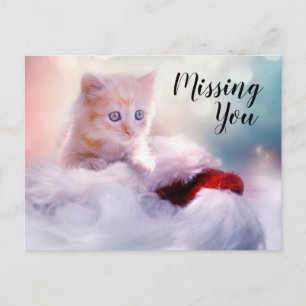 Carte Postale Kitten