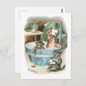Carte Postale Kitten Bath par Louis Wain (Devant / Derrière)