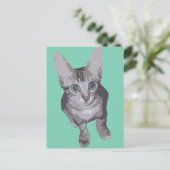 Carte Postale Kitten Big Eyes Pop Art (Debout devant)
