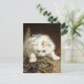 Carte Postale Kitten blanc par Ronner-Knip (Debout devant)