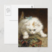 Carte Postale Kitten blanc par Ronner-Knip (Devant / Derrière)