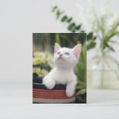 Carte Postale Kitten blanc turc (Debout devant)