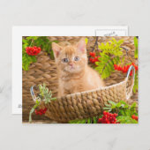 Carte Postale Kitten Britannique Assis Dans Un Panier Avec Monta (Devant / Derrière)