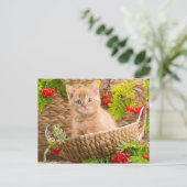 Carte Postale Kitten Britannique Assis Dans Un Panier Avec Monta (Debout devant)