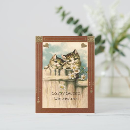 Carte Postale Kitten Chat Daisy Daisy Daisy clôture (Debout devant)
