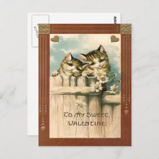 Carte Postale Kitten Chat Daisy Daisy Daisy clôture (Devant / Derrière)