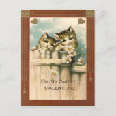 Carte Postale Kitten Chat Daisy Daisy Daisy clôture (Devant)