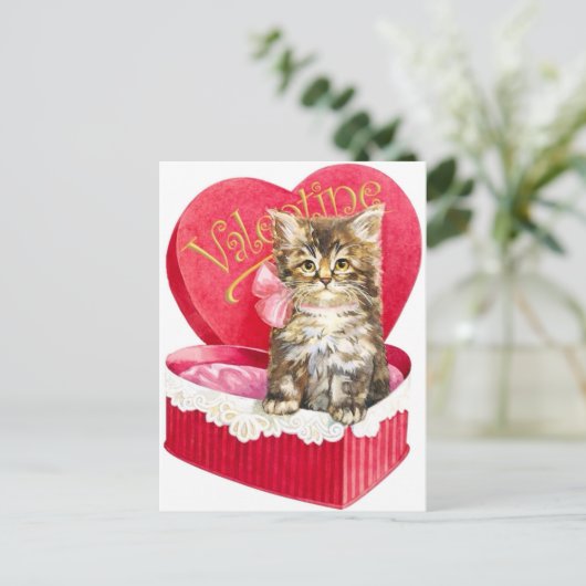 Carte Postale Kitten dans Candy Box (Debout devant)