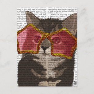 Carte Postale Kitten dans les lunettes de soleil étoilées