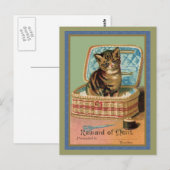 Carte Postale Kitten dans un panier à coudre (Devant / Derrière)