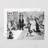 Carte Postale Kitten Donnant un considérant (Devant / Derrière)