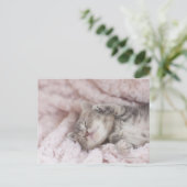 Carte Postale Kitten Dormir sur la serviette (Debout devant)
