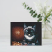 Carte Postale Kitten et Citrouille pour Halloween (Debout devant)