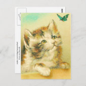 Carte Postale Kitten Et Papillon Vintage (Devant / Derrière)