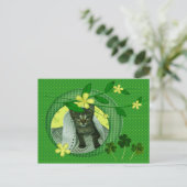 Carte Postale Kitten, Fleurs, Shamrock & Pois verts (Debout devant)