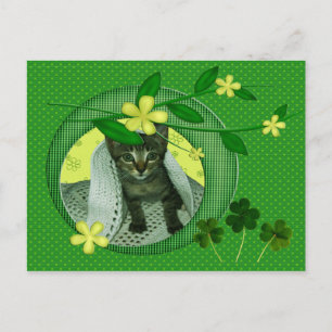 Carte Postale Kitten, Fleurs, Shamrock & Pois verts