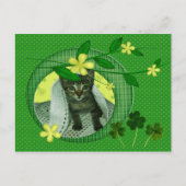 Carte Postale Kitten, Fleurs, Shamrock & Pois verts (Devant)
