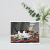Carte Postale Kitten, Henriette Ronner-Knip (Debout devant)