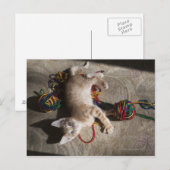 Carte Postale Kitten Jouer Avec Du Fil (Devant / Derrière)