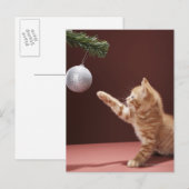 Carte Postale Kitten Jouer avec l'ornement (Devant / Derrière)