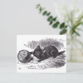 Carte Postale Kitten noir (Debout devant)