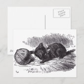 Carte Postale Kitten noir (Devant / Derrière)