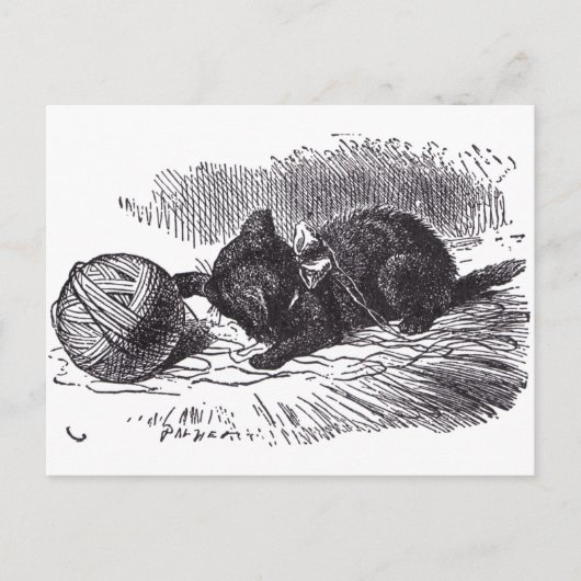 Carte Postale Kitten noir (Devant)