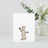 Carte Postale Kitten on White Background (Debout devant)