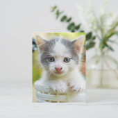 Carte Postale Kitten Ride Un Vélo (Debout devant)