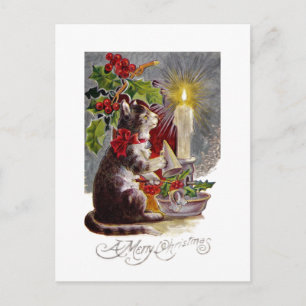 Carte Postale Kitten Sortir une bougie