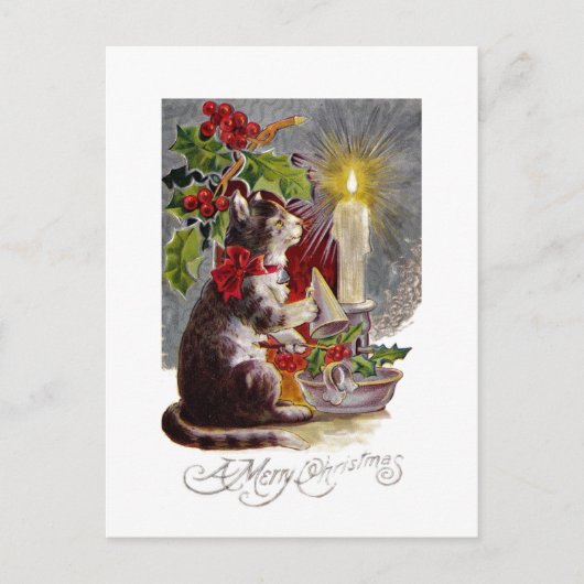 Carte Postale Kitten Sortir une bougie (Devant)