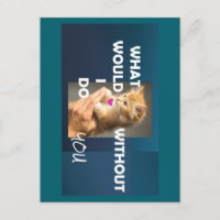 Kitten tenu par un texte à la main ce que je ferai