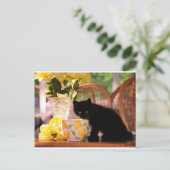 Carte Postale Kitten vert (Debout devant)