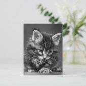 Carte Postale Kitten vert (Debout devant)