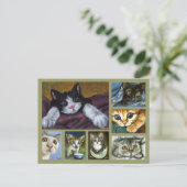 Carte postale Kittens (Debout devant)