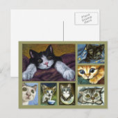 Carte postale Kittens (Devant / Derrière)