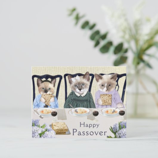Carte postale Kittens Passover (Debout devant)