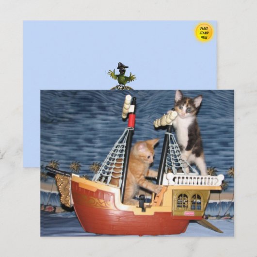 Carte postale Kittens pirate (Devant / Derrière)