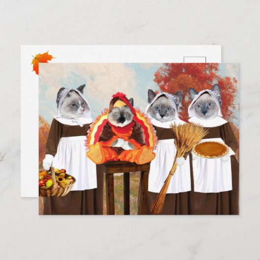 Carte postale Kittens Thanksgiving (Devant / Derrière)
