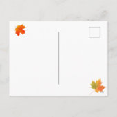 Carte postale Kittens Thanksgiving (Dos)