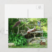 Carte postale Kittens Wildlife Friends (Devant / Derrière)