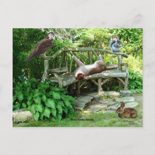 Carte postale Kittens Wildlife Friends (Devant)