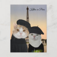 Kitties à Paris