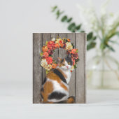 Carte postale "Kittles" (Debout devant)