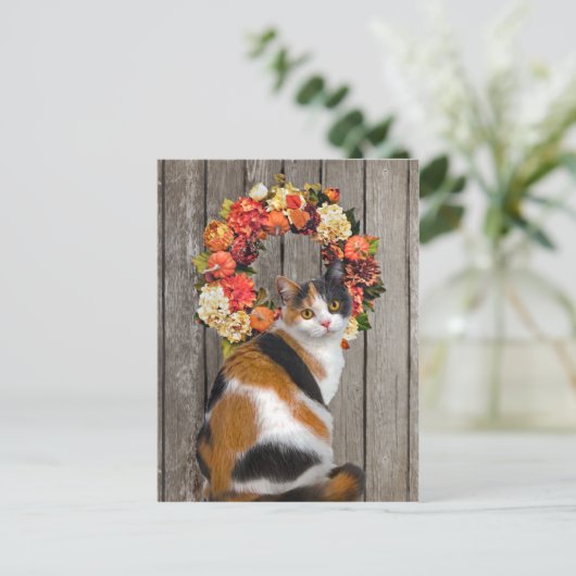 Carte postale "Kittles" (Debout devant)