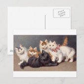 Carte Postale Kitty (Devant / Derrière)