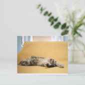 Carte postale Kitty (Debout devant)