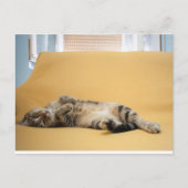 Carte postale Kitty (Devant)