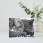 Carte postale Kitty (Debout devant)